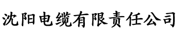 亚洲AV日韩AV永久无码色欲电缆厂logo